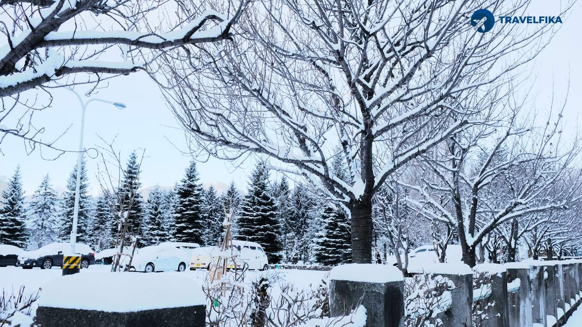 Sapporo – Snow Festival & Beer